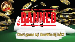 Vén màn sự thật liên quan đến việc Sunwin bị bắt